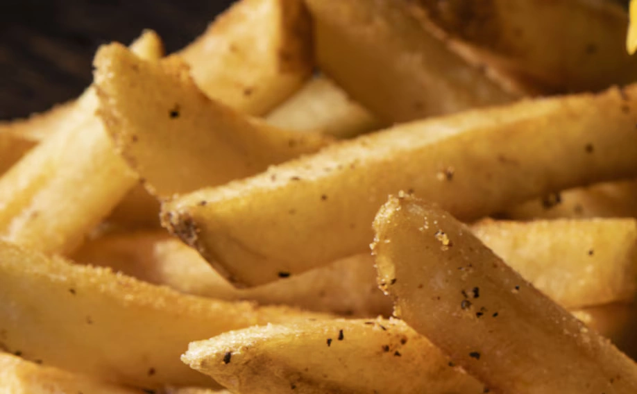 seasoned french fries seasoned french fries